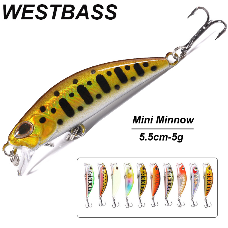 WESTBASS 1PX مايكرو البلمة إغر - مراجعة Fishing Lure Popper وسعره