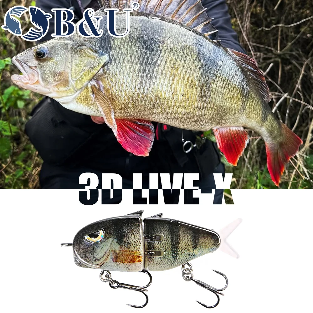 B & U بطيئة غرق الصيد إغراء 55 - مراجعة Fishing Lure Popper وسعره